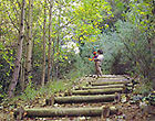 御坊山の階段歩道の写真