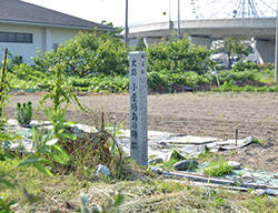 小屋場島の陣跡写真