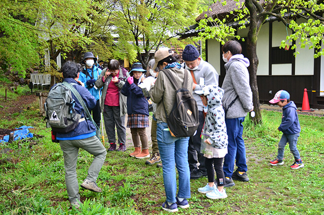 「植物博士と歩く！春の植物観察会〜スミレ～」の写真