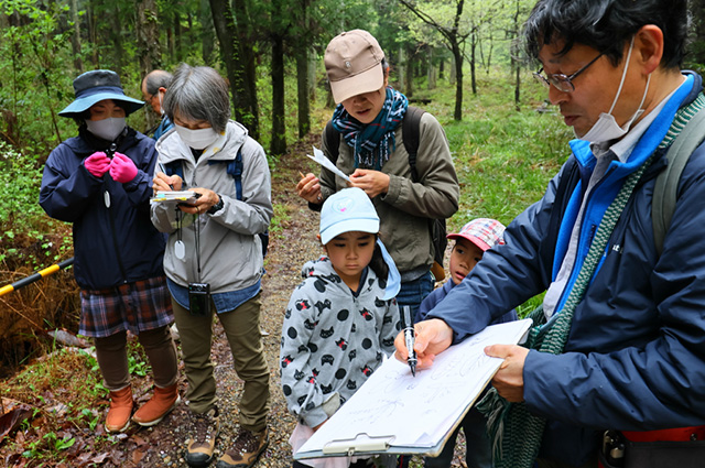 「植物博士と歩く！春の植物観察会〜スミレ～」の写真