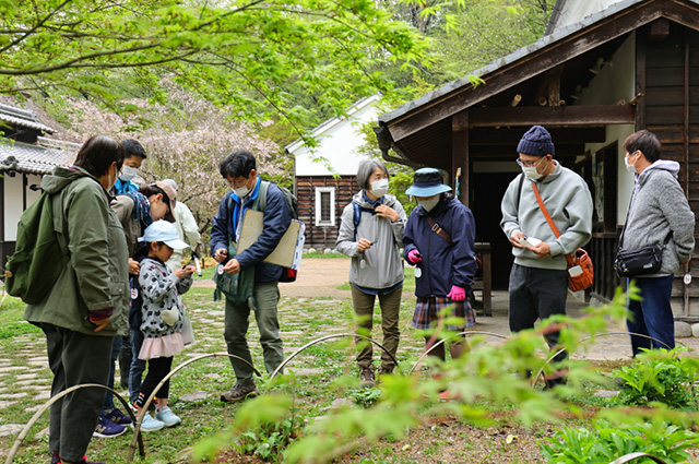 「植物博士と歩く！春の植物観察会〜スミレ～」の写真