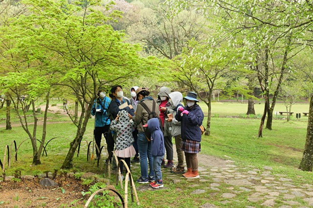 「植物博士と歩く！春の植物観察会〜スミレ～」の写真