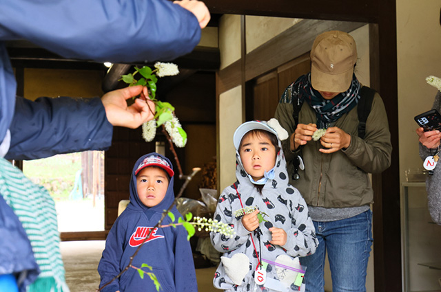 「植物博士と歩く！春の植物観察会〜スミレ～」の写真