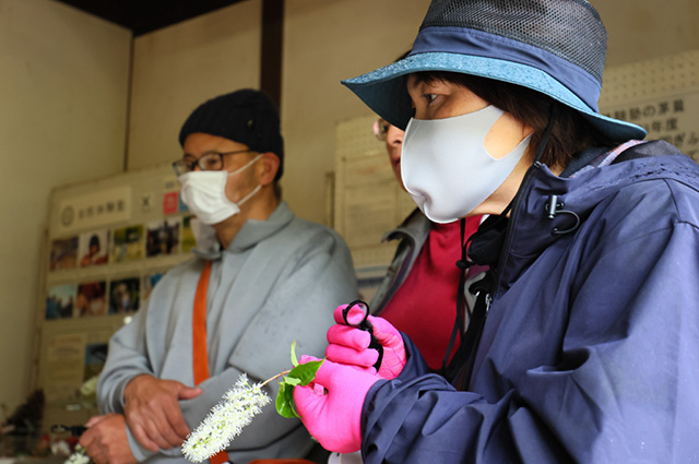 「植物博士と歩く！春の植物観察会〜スミレ～」の写真