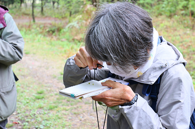 「植物博士と歩く！春の植物観察会〜スミレ～」の写真