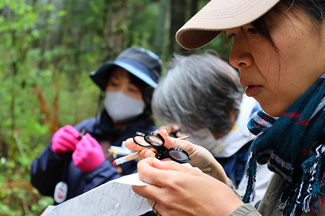 「植物博士と歩く！春の植物観察会〜スミレ～」の写真