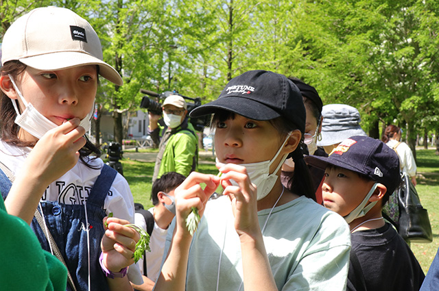 春の公園ツアーの写真