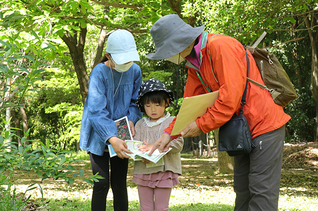 春の公園ツアーの写真