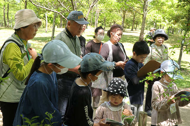 春の公園ツアーの写真