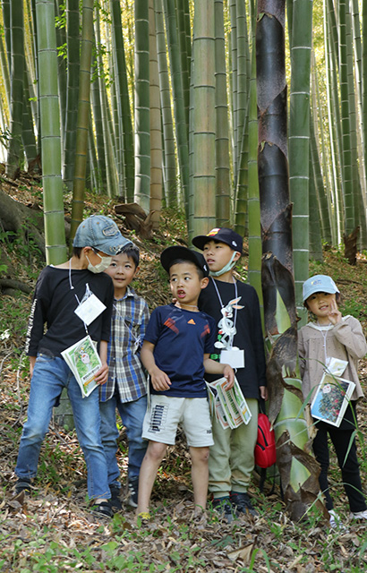 春の公園ツアーの写真