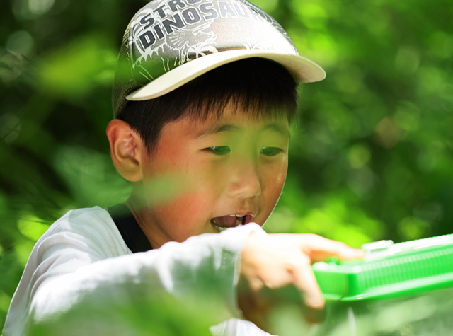 自然体験塾「初夏の昆虫おもしろ楽習」の写真