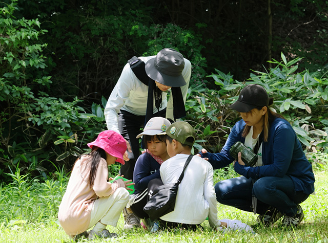 自然体験塾「初夏の昆虫おもしろ楽習」の写真