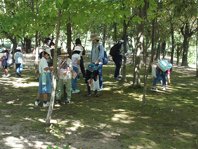 秋の公園ツアーの写真