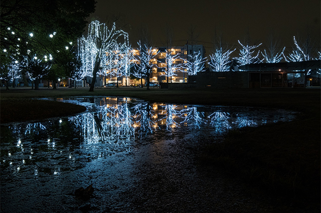 学びの森イルミネーションの写真