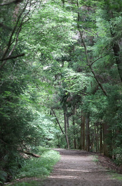 各務野自然遺産の森の写真