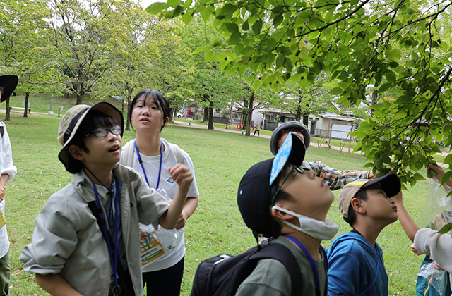 秋の公園ツアーの写真