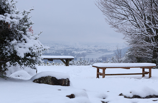 鵜沼の雪景色の写真